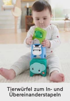 Fisher-price Aktivitätsspielzeug "Feinmotorik-Geschenkset", Mit Sound -babyausstattung Shop unnamed file 223