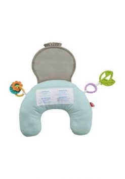 Fisher-price Faultier-Spielkissen Mit Vibration 20 Fisher-price Faultier-Spielkissen Mit Vibration -babyausstattung Shop unnamed file 283