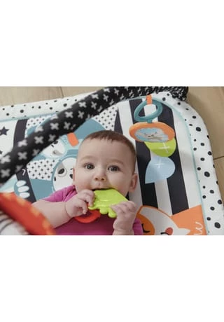 Fisher-price Tierfreunde Kontrast-Spieldecke 10 Fisher-price Tierfreunde Kontrast-Spieldecke - Image 8