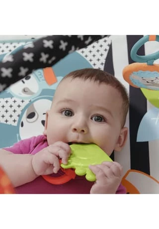 Fisher-price Tierfreunde Kontrast-Spieldecke 12 Fisher-price Tierfreunde Kontrast-Spieldecke - Image 10